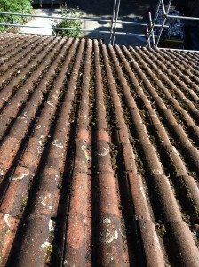 Dirty Roof Chiswick