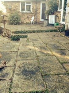 Flagstones Before Cleaning