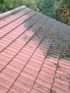 Roof cleaning in north west London